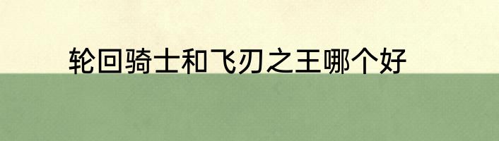 轮回骑士和飞刃之王哪个好