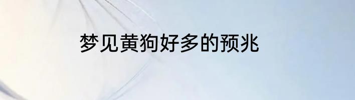 梦见黄狗好多的预兆