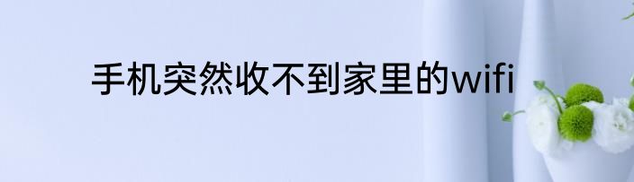 手机突然收不到家里的wifi