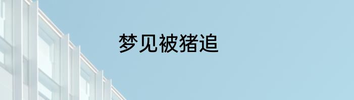梦见被猪追