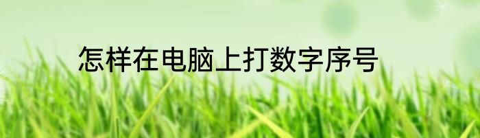 怎样在电脑上打数字序号