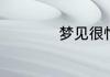 梦见很忙是什么预兆