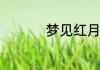 梦见红月亮是什么意思
