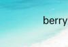 berry是什么意思
