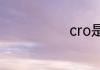cro是什么意思