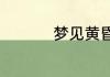 梦见黄昏星是什么预兆