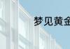 梦见黄金蛇是什么预兆