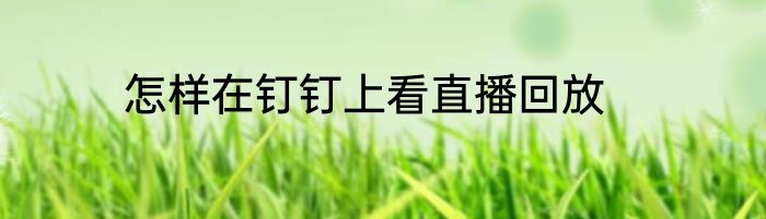 怎样在钉钉上看直播回放