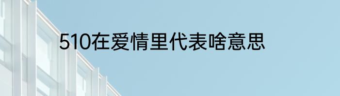 510在爱情里代表啥意思