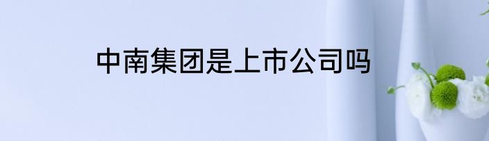 中南集团是上市公司吗