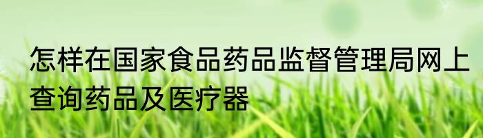 怎样在国家食品药品监督管理局网上查询药品及医疗器
