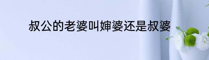 叔公的老婆叫婶婆还是叔婆