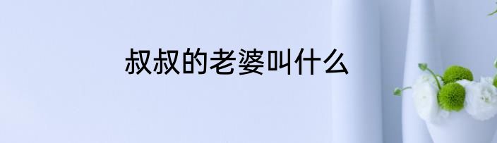 叔叔的老婆叫什么