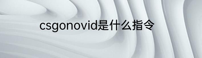 csgonovid是什么指令