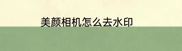 美颜相机怎么去水印
