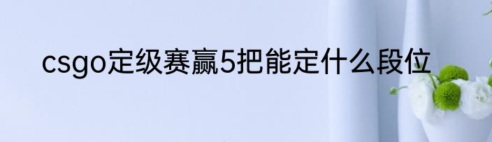 csgo定级赛赢5把能定什么段位
