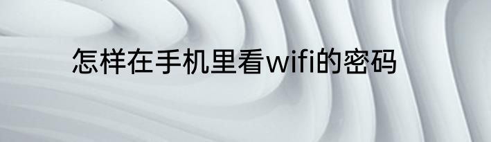 怎样在手机里看wifi的密码
