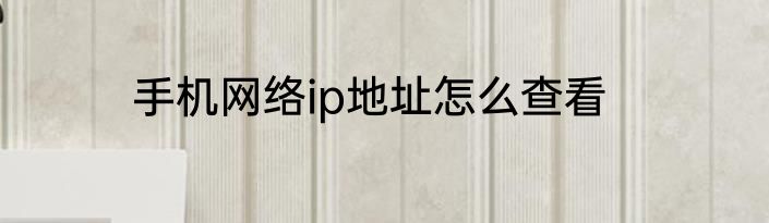 手机网络ip地址怎么查看