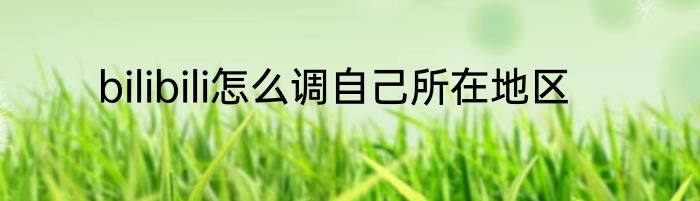 bilibili怎么调自己所在地区