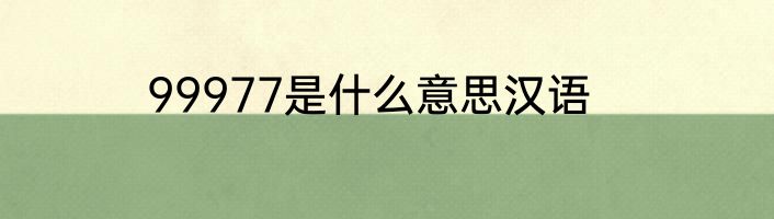 99977是什么意思汉语
