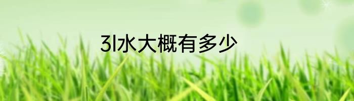 3l水大概有多少