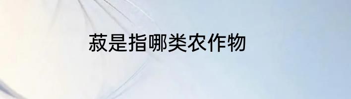 菽是指哪类农作物