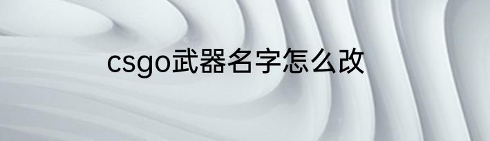 csgo武器名字怎么改
