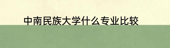 中南民族大学什么专业比较
