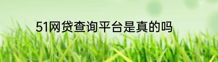 51网贷查询平台是真的吗