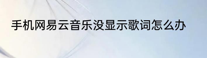 手机网易云音乐没显示歌词怎么办