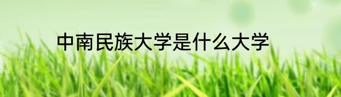 中南民族大学是什么大学