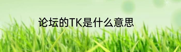 论坛的TK是什么意思