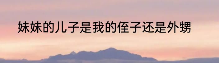妹妹的儿子是我的侄子还是外甥