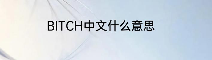 BITCH中文什么意思