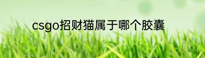 csgo招财猫属于哪个胶囊