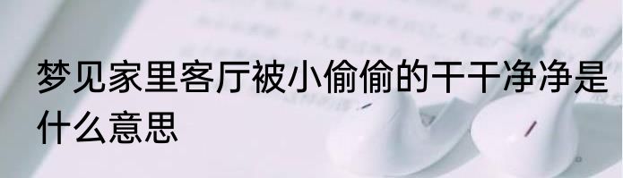 梦见家里客厅被小偷偷的干干净净是什么意思