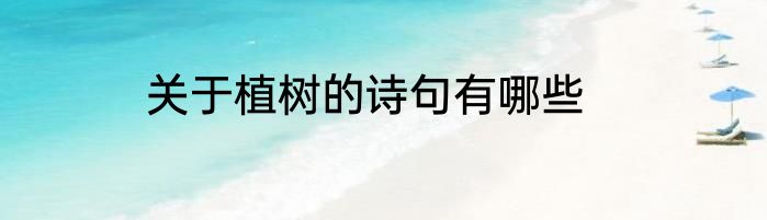 关于植树的诗句有哪些