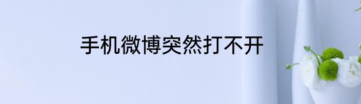 手机微博突然打不开