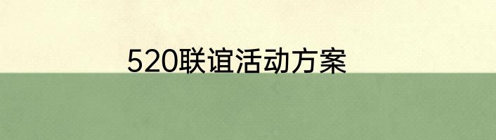 520联谊活动方案