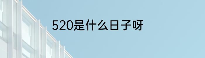 520是什么日子呀
