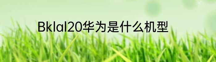 Bklal20华为是什么机型