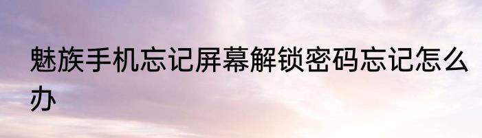 魅族手机忘记屏幕解锁密码忘记怎么办