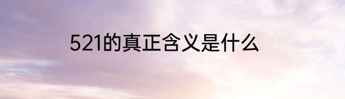 521的真正含义是什么