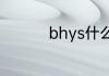 bhys什么意思网络用语