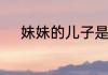 妹妹的儿子是我的侄子还是外甥
