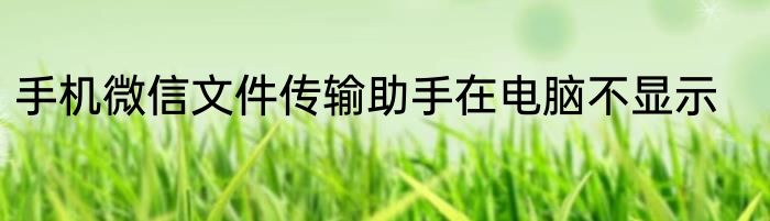 手机微信文件传输助手在电脑不显示