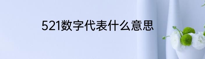 521数字代表什么意思
