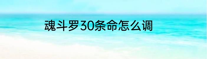 魂斗罗30条命怎么调