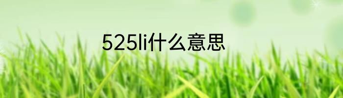 525li什么意思