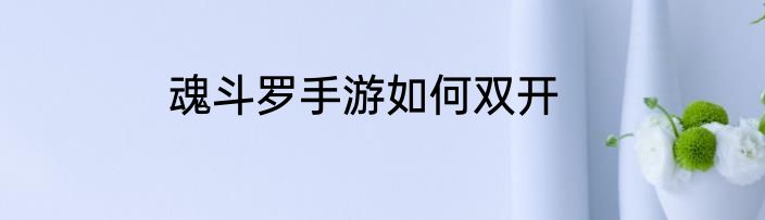 魂斗罗手游如何双开